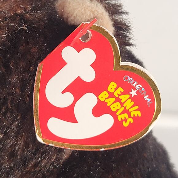 Ty Beanie Baby Kodi Bear Plush Toy 6" Brown Black Stuffed Animal with Tags - Picture 13 of 16